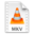Matroska Video Icon